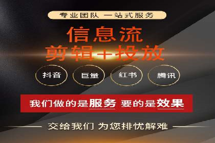 行业领先企业的SEM竞价代运营案例解析